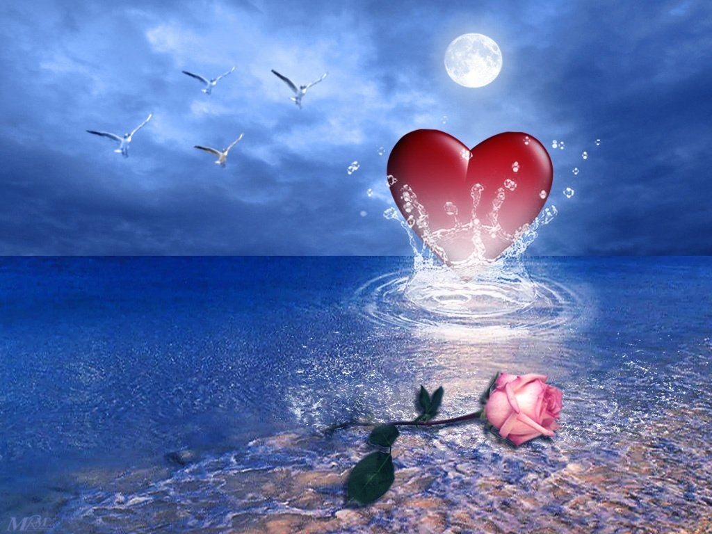 Cute Love Heart HD Wallpapers from 2013 Picture Gallery