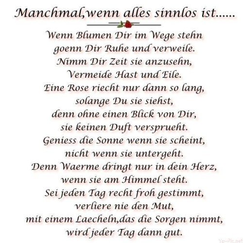 Mitglieder-Pic