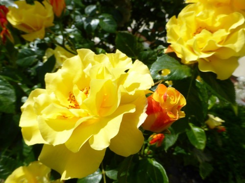 An den Beitrag angehängtes Bild: http://img28.dreamies.de/img/895/b/zklxljaq2gt.jpg