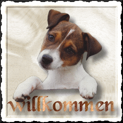 ilegugdlmx7.gif