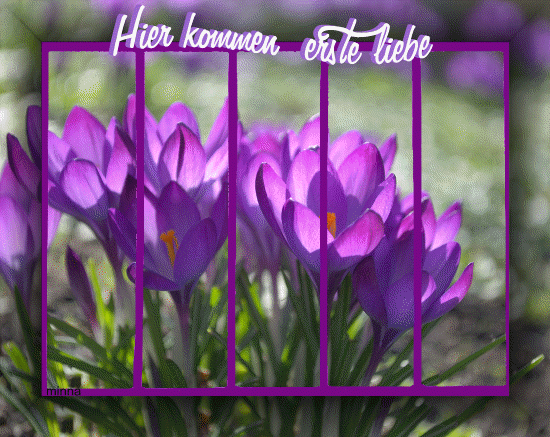 An den Beitrag angehängtes Bild: https://img28.dreamies.de/img/3/b/og9h2krhj01.gif