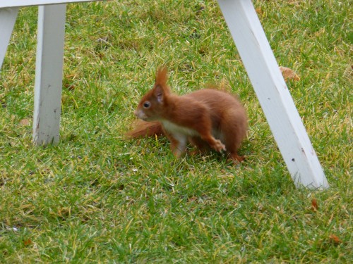 An den Beitrag angehängtes Bild: https://img28.dreamies.de/img/532/b/y7dfjzbr8k8.jpg